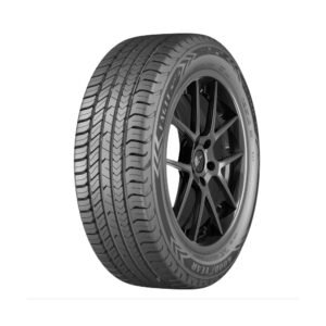 Neumatico Goodyear Eagle Sport 2 205/55 R16 91V